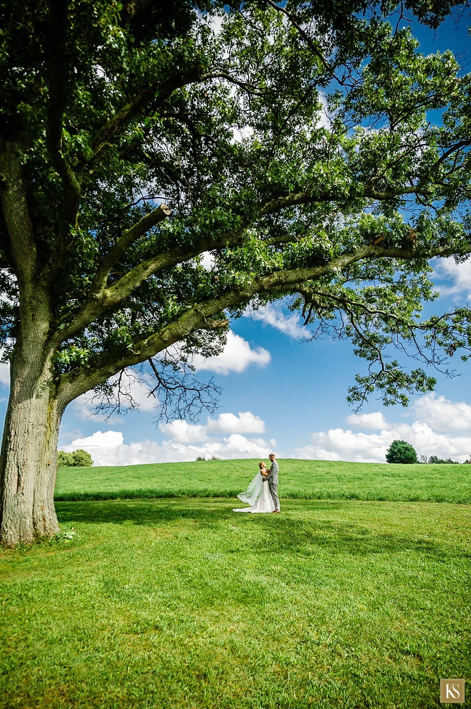 Wedding portrait, michigan weddings, www.kelliesaunders.com